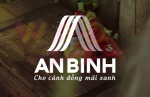 Thiết kế nhận diện thương hiệu